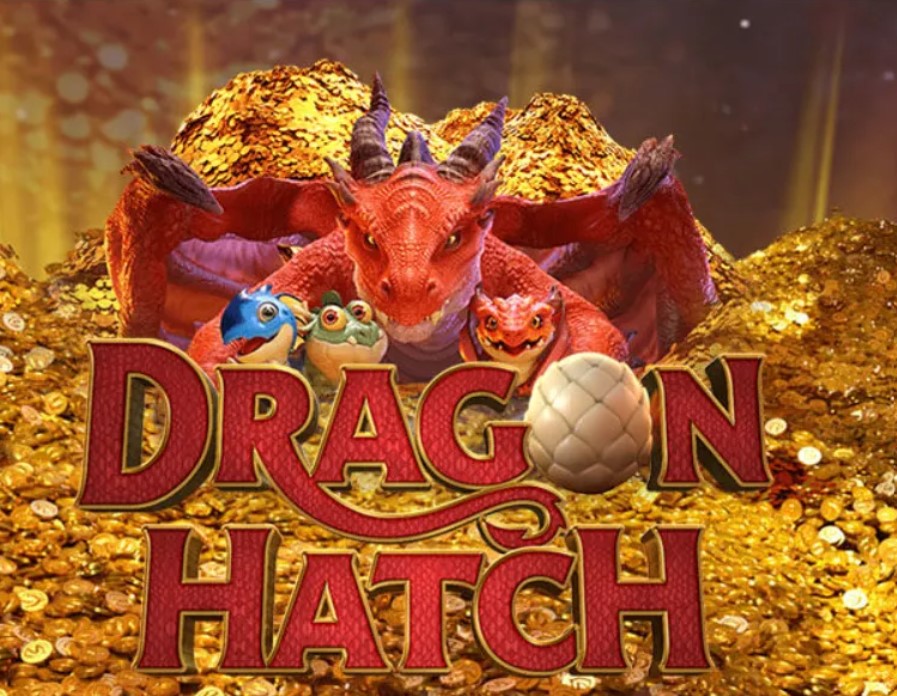 Giới thiệu về Dragon Hatch